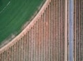 Aerial view of crop field with circular pivot irrigation sprinkler