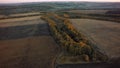 Aerial view of cultivated field from drone pov, top view Royalty Free Stock Photo