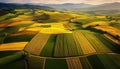 Aerial View of Cultivated Fields A Symphony of Colors and Textures in a Serene Landscape at Sunset Royalty Free Stock Photo