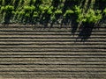 Aerial view cultivated rural field, agriculture