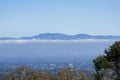 Aerial view of Cupertino and San Jose, Silicon valley