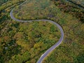 Aerial view of a curly road