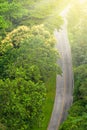 Aerial view of curve forest road at sunrise Royalty Free Stock Photo