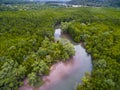 Aerial view of curve river in mangrove forest in Thailand Royalty Free Stock Photo