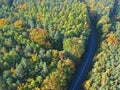Aerial view on curved asphalt road in mixed forest during autumn