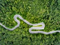 Aerial view of a curved winding road trough the forest