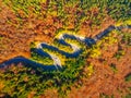 Aerial view of curvy road through autumn colored forest Royalty Free Stock Photo