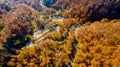 Aerial view of curvy road in beautiful autumn forest at sunset Royalty Free Stock Photo