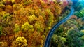 Aerial view of curvy road in beautiful autumn forest. Top view of roadway with autumn colors Royalty Free Stock Photo