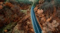 Aerial view of curvy road in beautiful autumn forest. Top view of roadway with autumn colors Royalty Free Stock Photo