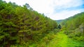 Aerial view of Dalat city forest, Vietnam