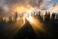 Aerial view of dark green pine trees in spruce forest with sunrise rays shining through branches in foggy autumn mountains Royalty Free Stock Photo