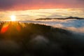 Aerial view of dark green pine trees in spruce forest with sunrise rays shining through branches in foggy fall mountains Royalty Free Stock Photo