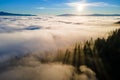 Aerial view of dark green pine trees in spruce forest with sunrise rays shining through branches in foggy fall mountains