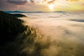 Aerial view of dark green pine trees in spruce forest with sunrise rays shining through branches in foggy fall mountains Royalty Free Stock Photo