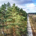 Aerial view of a dead straight road through a forest area with tall pine trees in the foreground