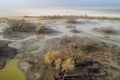 Aerial view of dead trees and lake in Danakil Depression