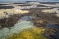 Aerial view of dead trees and lake in Danakil Depression