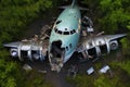 aerial view of decaying airplane fuselage