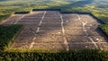 Aerial view of deforestation in forest landscape with clear-cut grid pattern surrounded by dense greenery Royalty Free Stock Photo