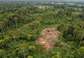 Aerial View of Deforestation in Lush Green Rainforest Royalty Free Stock Photo