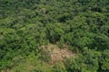 Aerial view of deforestation, many trees cut down to make room for a small scale cattle ranch