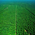 Aerial view of deforested area of the Amazon rainforest caused by illegal mining created with