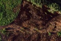 Aerial view of deforested landscape from drone pov Royalty Free Stock Photo