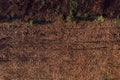 Aerial view of deforested landscape from drone pov Royalty Free Stock Photo