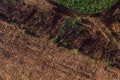 Aerial view of deforested landscape from drone pov Royalty Free Stock Photo