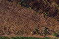 Aerial view of deforested landscape from drone pov Royalty Free Stock Photo