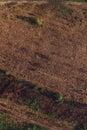 Aerial view of deforested landscape from drone pov Royalty Free Stock Photo