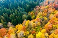 Aerial view of dense green pine forest with canopies of spruce trees and colorful lush foliage in autumn mountains Royalty Free Stock Photo