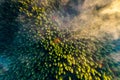 Aerial view of dense green pine forest with canopies of spruce trees and colorful lush foliage in autumn mountains Royalty Free Stock Photo