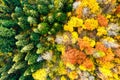 Aerial view of dense green pine forest with canopies of spruce trees and colorful lush foliage in autumn mountains Royalty Free Stock Photo