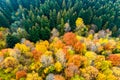 Aerial view of dense green pine forest with canopies of spruce trees and colorful lush foliage in autumn mountains Royalty Free Stock Photo