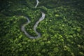 aerial view of dense jungle ecosystem with winding rivers and waterfalls