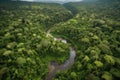 aerial view of dense jungle ecosystem with winding rivers and waterfalls