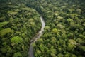 aerial view of dense jungle ecosystem with winding rivers and waterfalls