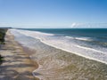 Aerial view deserted beach with coconut trees on the coast of bahia brazil Royalty Free Stock Photo