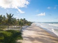 Aerial view deserted beach with coconut trees on the coast of bahia brazil Royalty Free Stock Photo