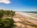 Aerial view deserted beach with coconut trees on the coast of bahia brazil Royalty Free Stock Photo