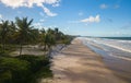 Aerial view deserted beach with coconut trees on the coast of bahia brazil Royalty Free Stock Photo