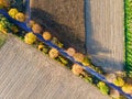 Aerial view of diagonal country road, autumn trees and ploughed fields