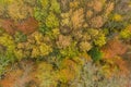 Aerial view directly above an autumn forest with orange, red and grren leaves