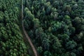 Aerial view of the dirt road passing through the fores Royalty Free Stock Photo