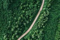 Aerial view of the dirt road passing through the forest