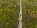 Aerial view on dirt road through swampy wilderness with forest cut down Royalty Free Stock Photo