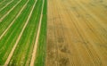 Aerial view on divide in half field of wheat and potatoes