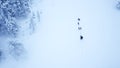 Aerial view of dogsledding in the arctic winter of Finnish Lapland. Royalty Free Stock Photo